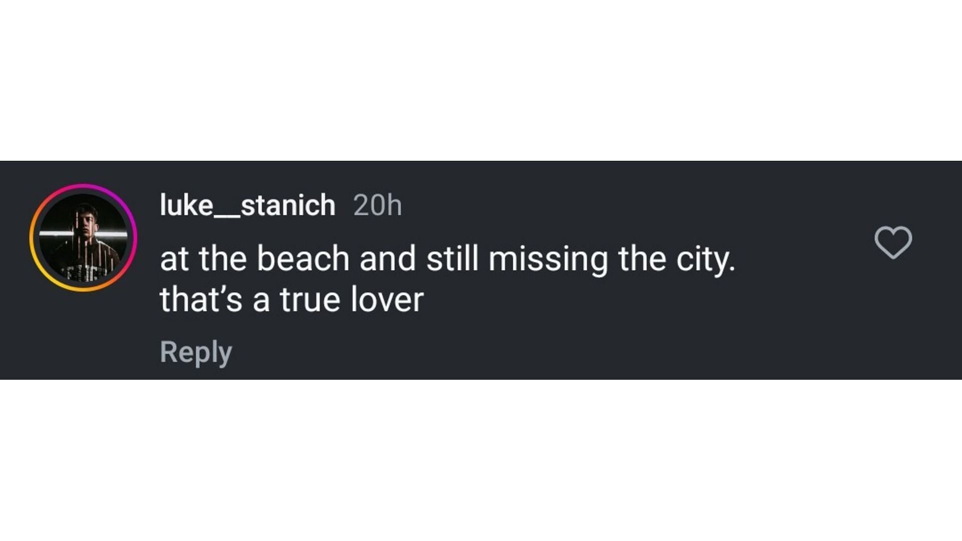 Screenshot of Stanich's message on his girlfriend's post (Image via: Victoria's Instagram)